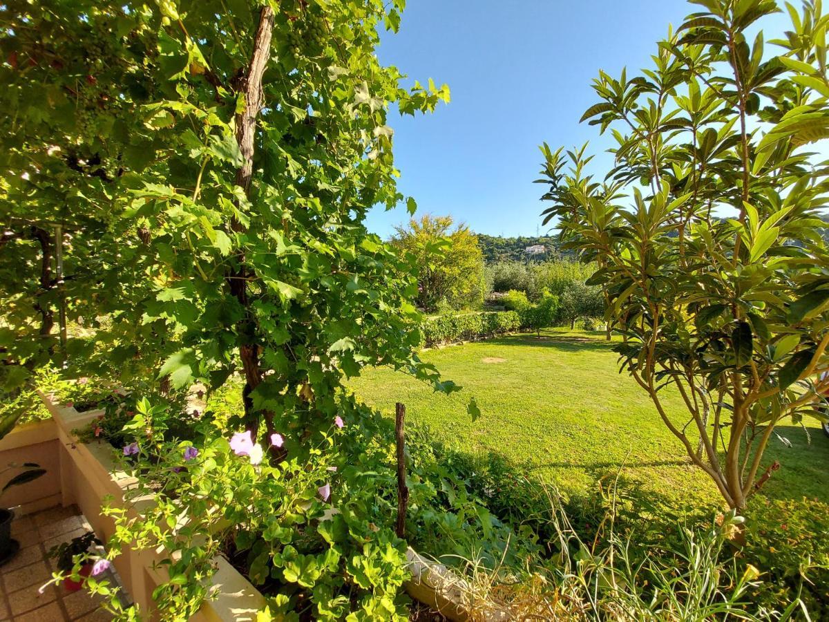 Apartman Anka Palit Buitenkant foto