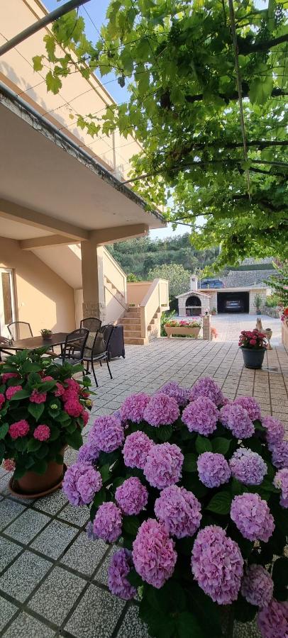 Apartman Anka Palit Buitenkant foto
